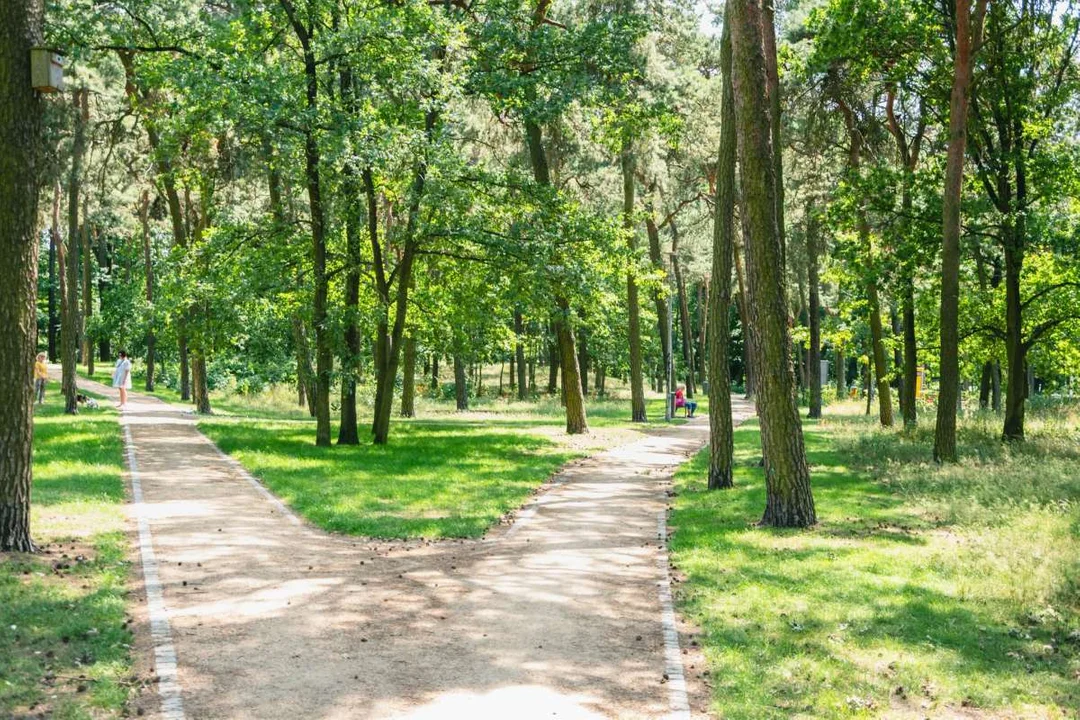 Lasek Szubianki z wyróżnieniem Towarzystwa Urbanistów Polskich