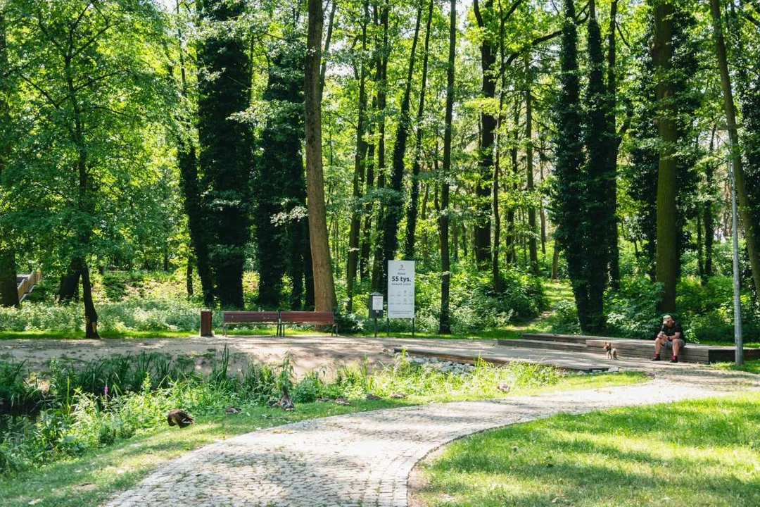 Lasek Szubianki z wyróżnieniem Towarzystwa Urbanistów Polskich