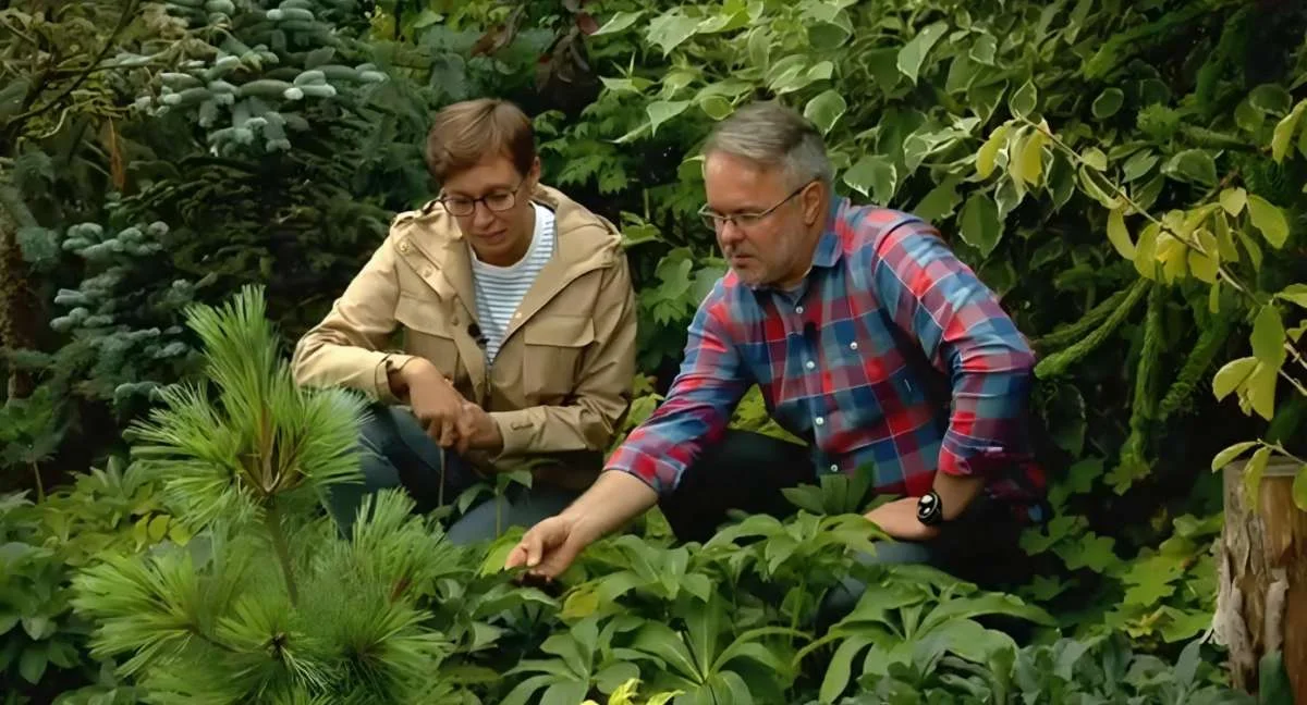 Telewizja w ogrozie Kingio Lateckiej w Jarocinie