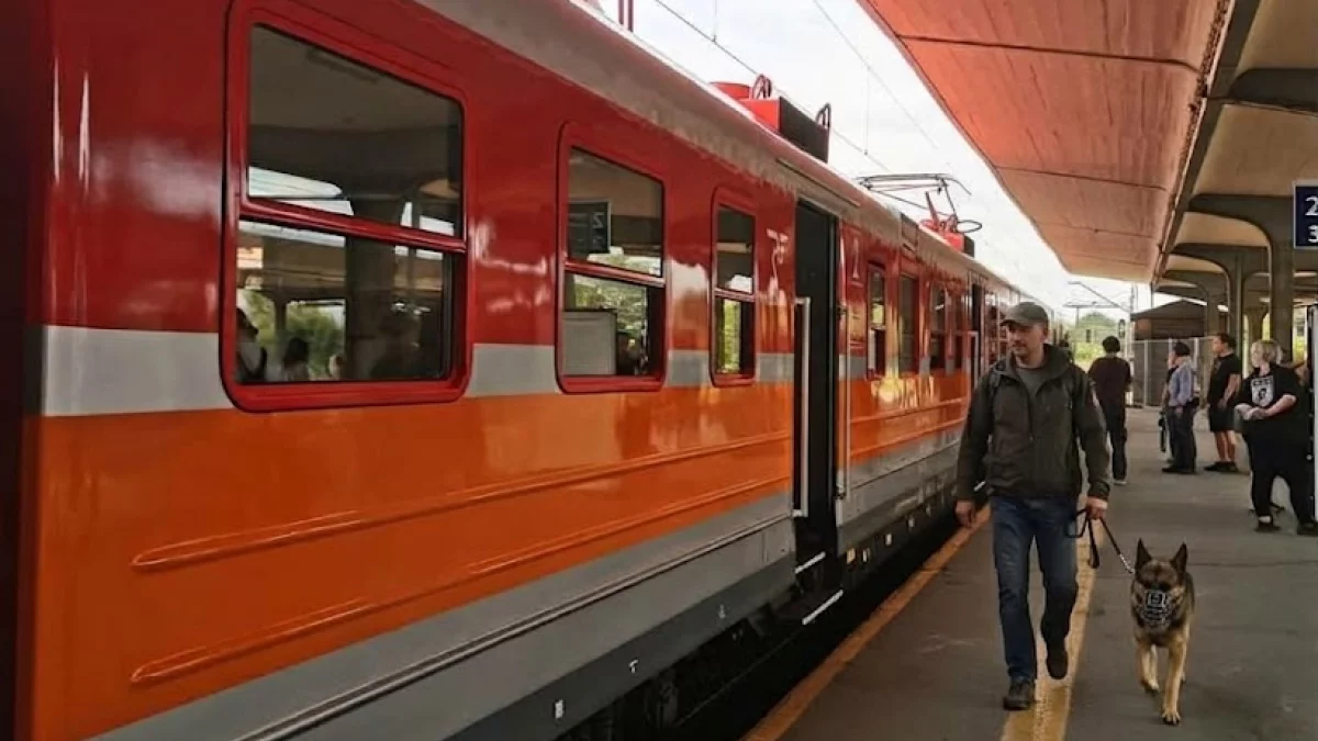 Czy pies może siedzieć na fotelu w pociągu? POLREGIO przypomina o ważnej zasadzie