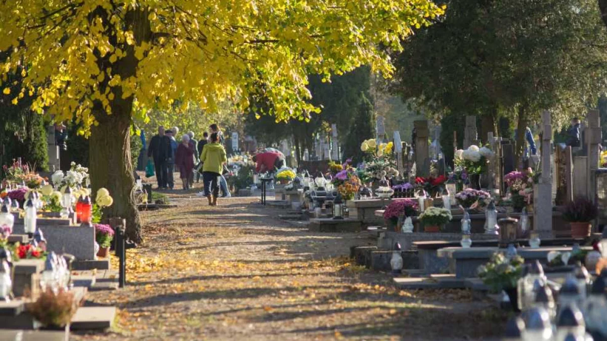 Będą przymrozki 1 listopada w Wielkopolsce? Synoptyk IMGW odpowiada